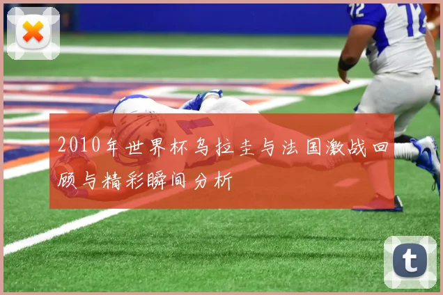 2010年世界杯乌拉圭与法国激战回顾与精彩瞬间分析