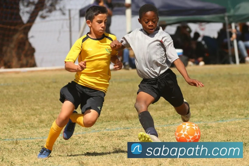 App Interface Preview